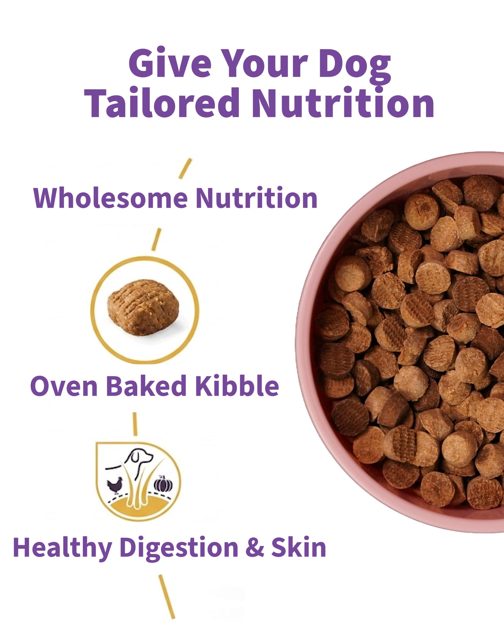 trial pack chicken, pumpkin & oats (200g) trial pack chicken, pumpkin & oats (200g)